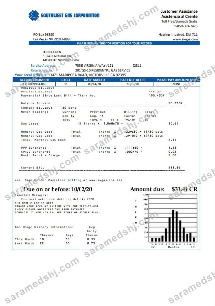 USA Nevada Southwest gas Corporation utility bill template in Word and PDF format